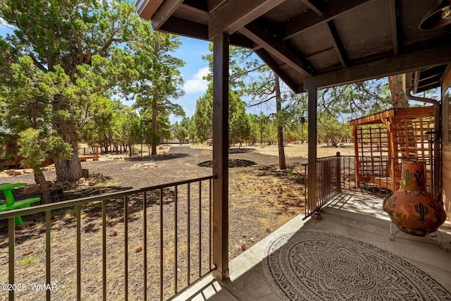 1464 Low Mountain Trl, Heber, AZ 85928 - view of patio