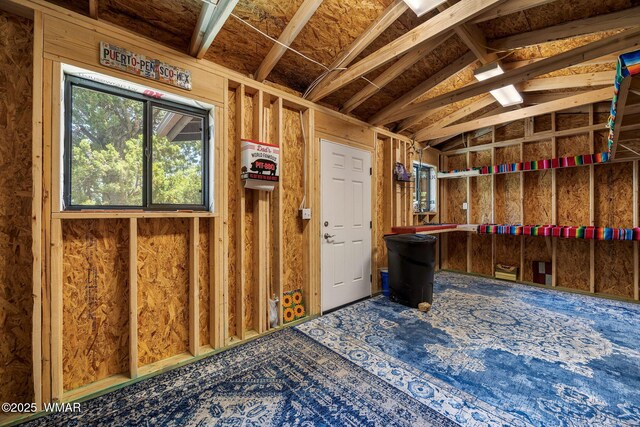 1464 Low Mountain Trl, Heber, AZ 85928 - miscellaneous room featuring vaulted ceiling and carpet floors