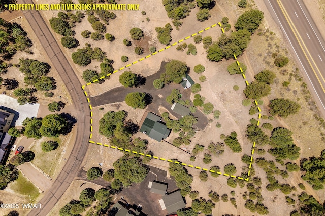1464 Low Mountain Trl, Heber, AZ 85928 - aerial view of property's location with property boundaries highlighted
