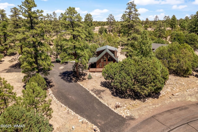 1464 Low Mountain Trl, Heber, AZ 85928 - view of subject property