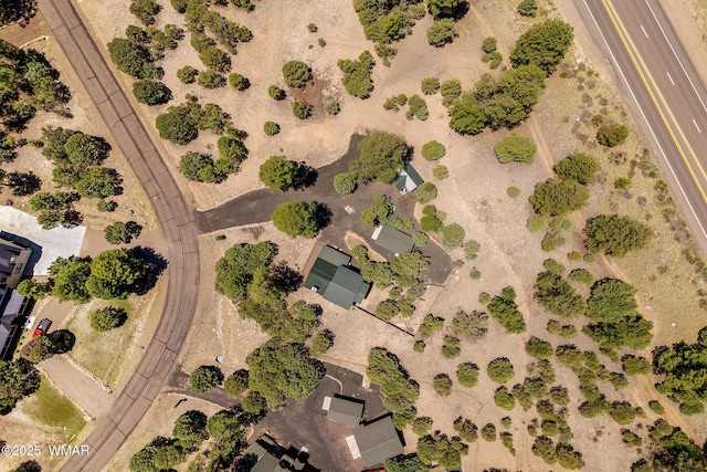 1464 Low Mountain Trl, Heber, AZ 85928 - overview of rural landscape featuring a desert landscape