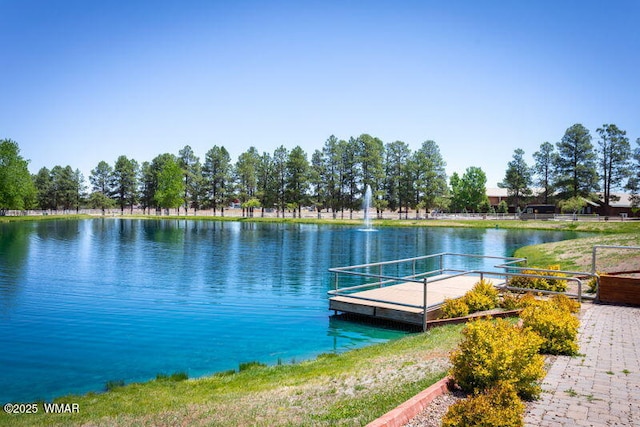 dock area with a water view