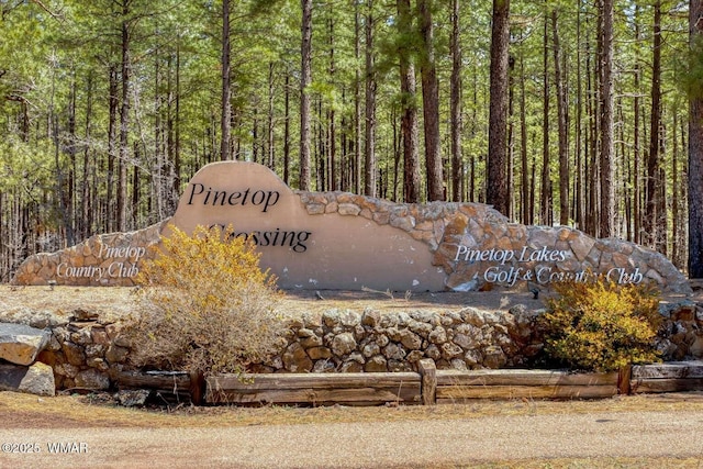 5380 Branding Iron Loop, Pinetop, AZ 85935 - photo 52