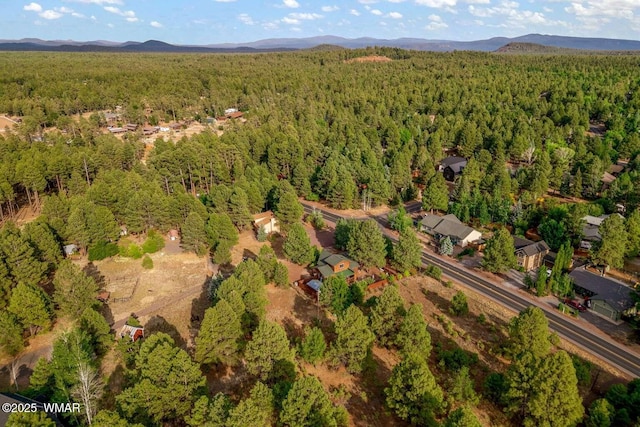 5380 Branding Iron Loop, Pinetop, AZ 85935 - photo 44