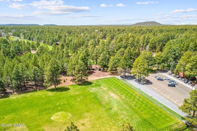 5380 Branding Iron Loop, Pinetop, AZ 85935 - photo 47