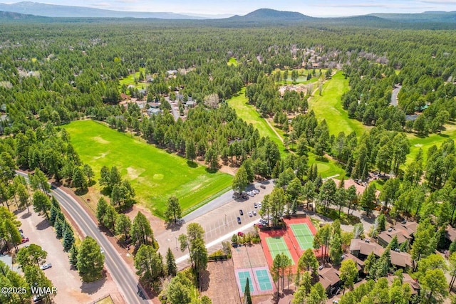 5380 Branding Iron Loop, Pinetop, AZ 85935 - photo 48