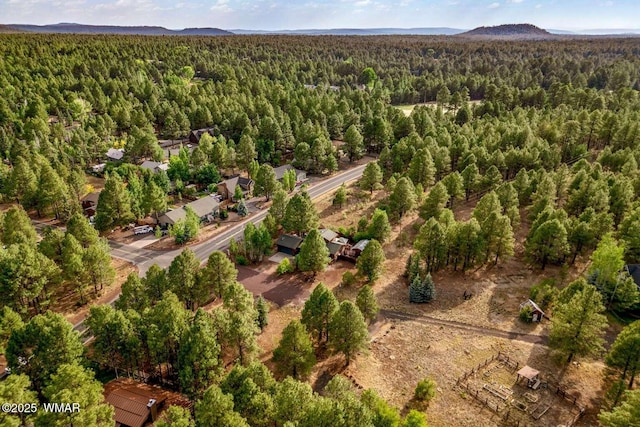5380 Branding Iron Loop, Pinetop, AZ 85935 - photo 43