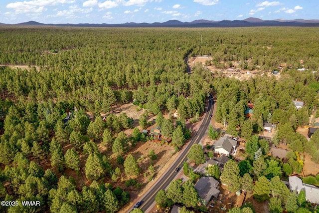 5380 Branding Iron Loop, Pinetop, AZ 85935 - photo 45