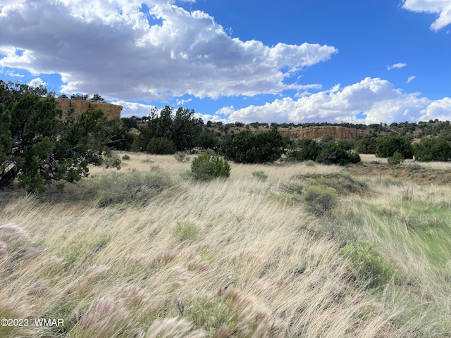 5 County Road 8024, Concho AZ, 85924 land for sale