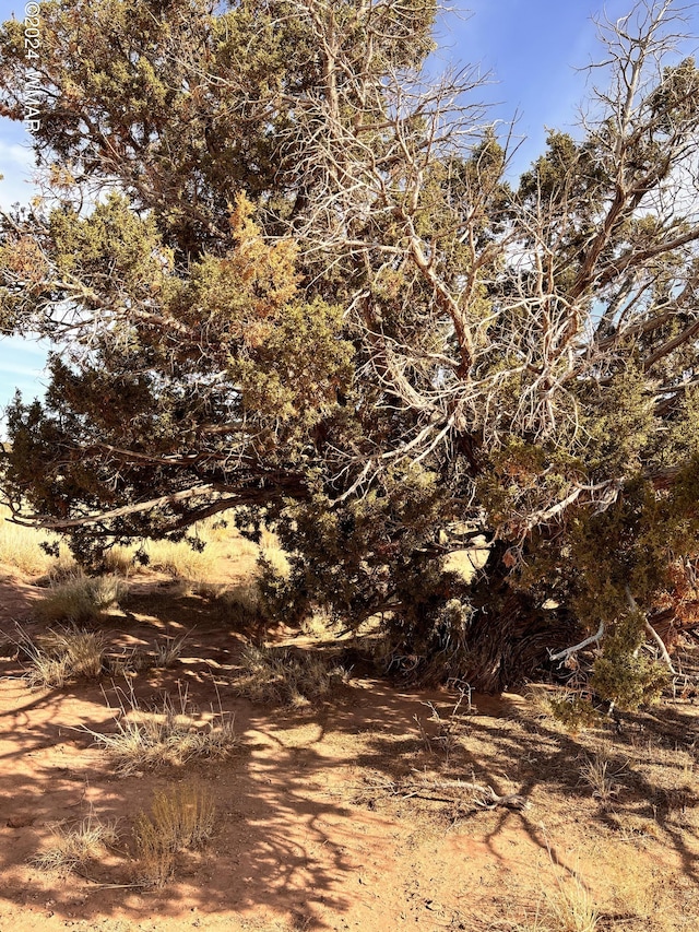 8581 SE Lawson Ln, Snowflake, AZ 85937 - photo 2