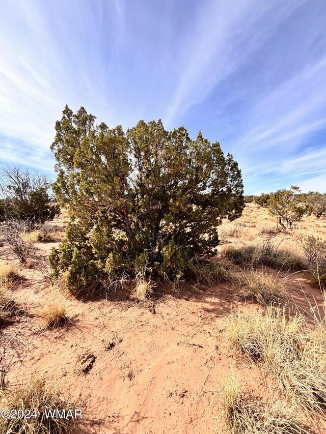 8581 SE Lawson Ln, Snowflake, AZ 85937 - photo 6