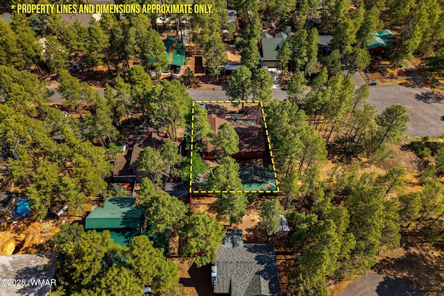 1720 W Huning, Show Low, AZ 85901 - view of property location with property parcel outlined