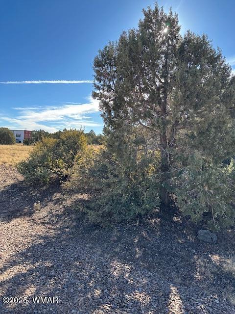 8413 Navajo Dr, Show Low AZ, 85901 land for sale