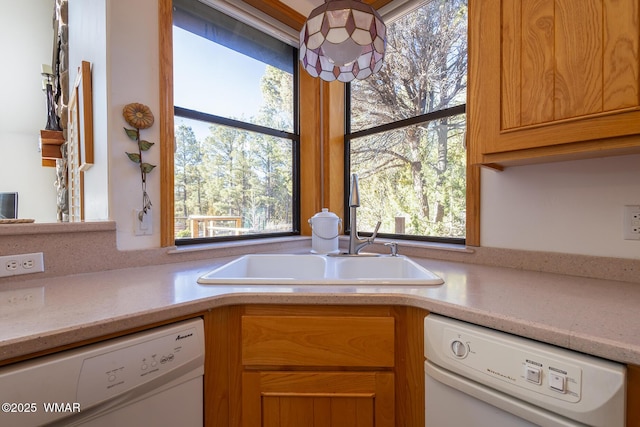 kitchen with a sink, dishwasher, and white dishwasher