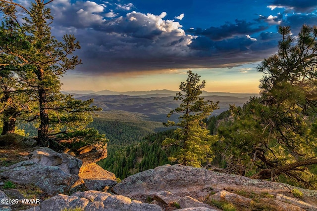 property view of mountains with a wooded view