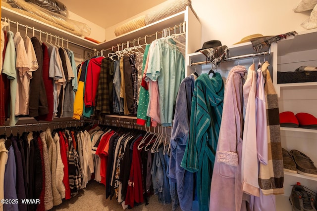 walk in closet featuring carpet floors