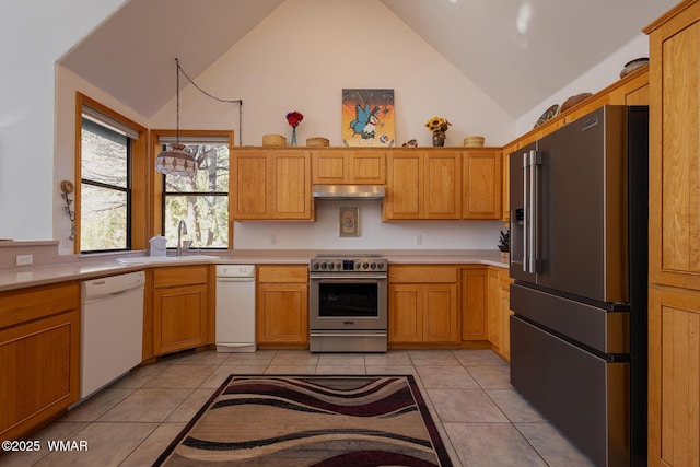 kitchen featuring a sink, light countertops, under cabinet range hood, and stainless steel appliances