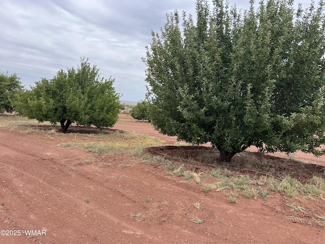 5473 White Antelope Rd, Snowflake, AZ 85937 - photo 15