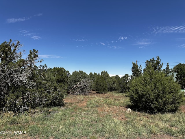 8374 Apache Dr, Show Low AZ, 85901 land for sale