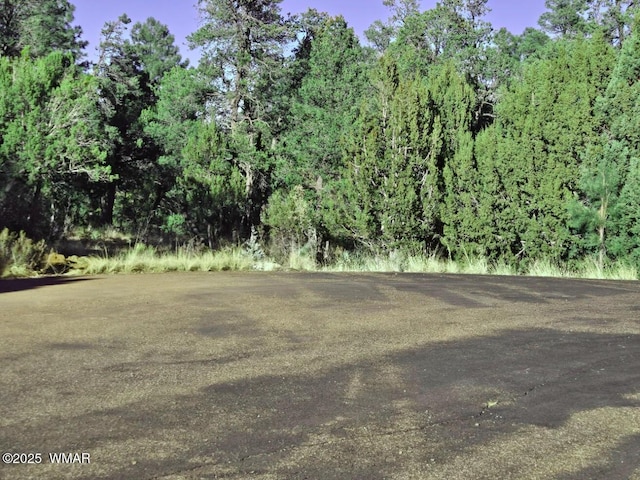 1526 Foxtail Ln, Heber AZ, 85928 land for sale