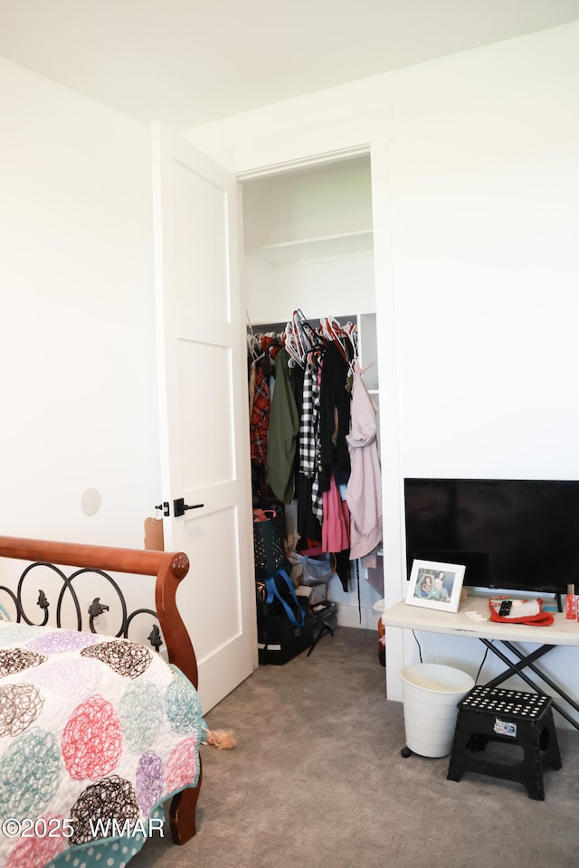 bedroom featuring carpet