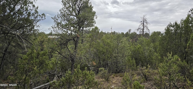 1872 Little Doe Trl, Heber, AZ 85928