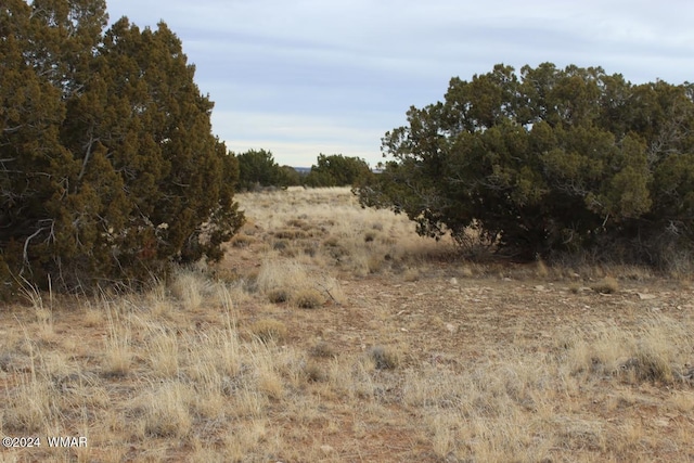 5151 Rockwell Rd, Heber AZ, 85928 land for sale