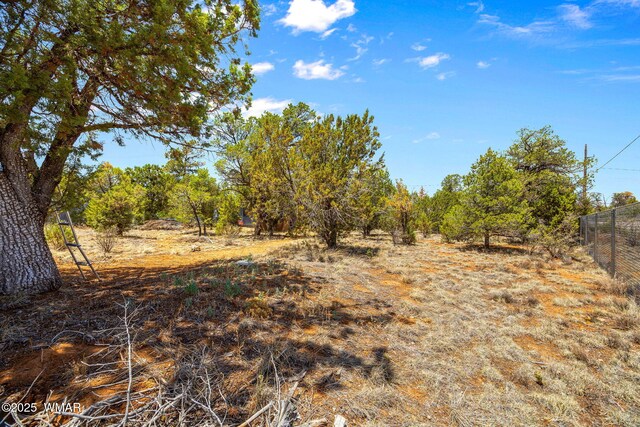 3355 Turkey, Overgaard, AZ 85933 - photo 32