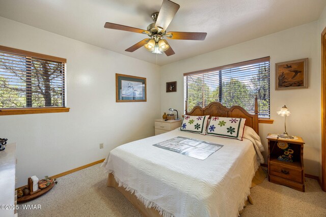 3355 Turkey, Overgaard, AZ 85933 - photo 17