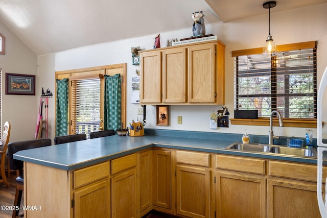 3355 Turkey, Overgaard, AZ 85933 - photo 12