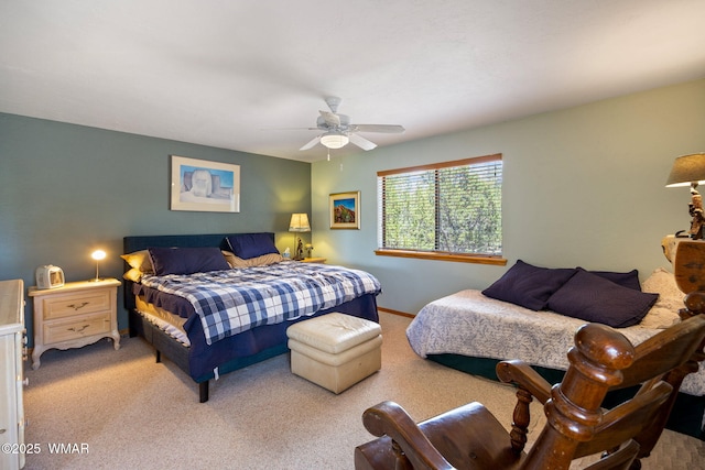 3355 Turkey, Overgaard, AZ 85933 - photo 14