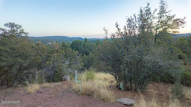 0 Drumecho Pne, Pine, AZ 85544