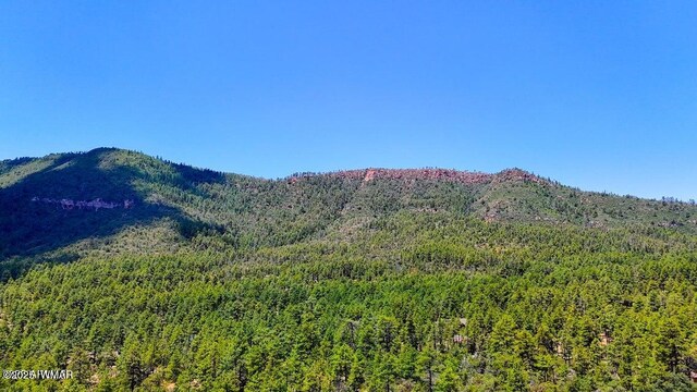 0 Drumecho Pne, Pine, AZ 85544