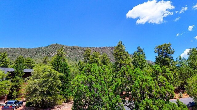 0 Drumecho Pne, Pine, AZ 85544
