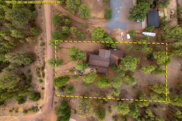 2353 Florian Meadow Trl, Overgaard, AZ 85933 - aerial overview of property's location with property boundaries highlighted