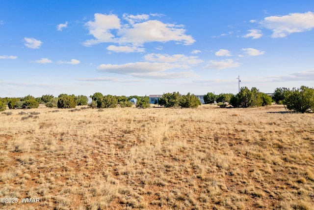 8487 Alpine Pl, Show Low, AZ 85901 - photo 2