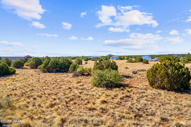 8487 Alpine Pl, Show Low, AZ 85901 - photo 1
