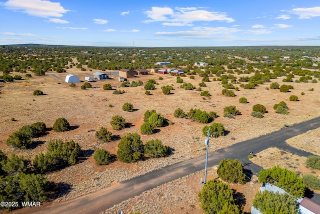8487 Alpine Pl, Show Low, AZ 85901 - photo 4