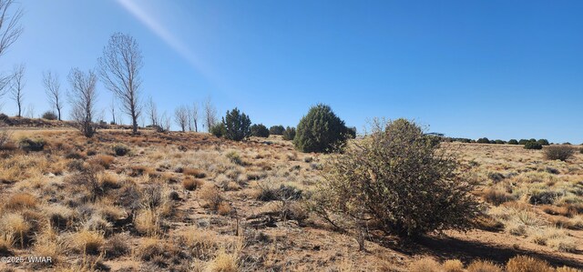1251 Harvest Cir, Taylor, AZ 85939 - photo 7