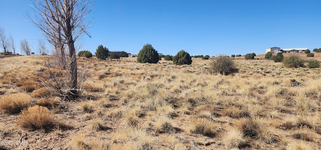 1251 Harvest Cir, Taylor, AZ 85939 - photo 2