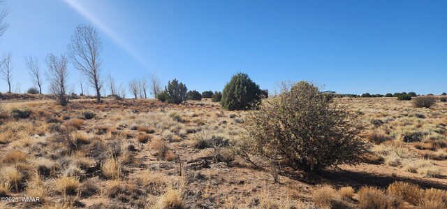 1251 Harvest Cir, Taylor, AZ 85939 - photo 4