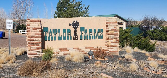 1251 Harvest Cir, Taylor, AZ 85939 - photo 10