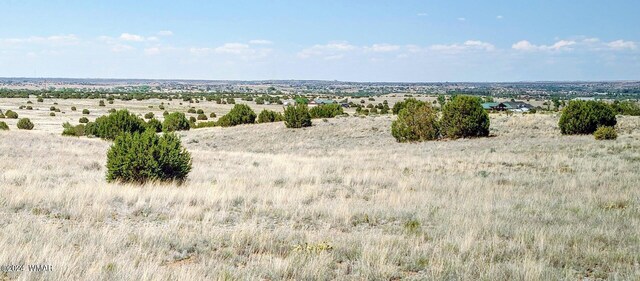 1900 Pinedale Rd, Taylor, AZ 85939 - photo 6