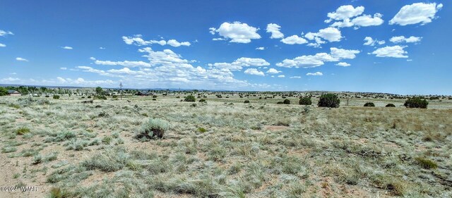 1900 Pinedale Rd, Taylor, AZ 85939 - photo 8