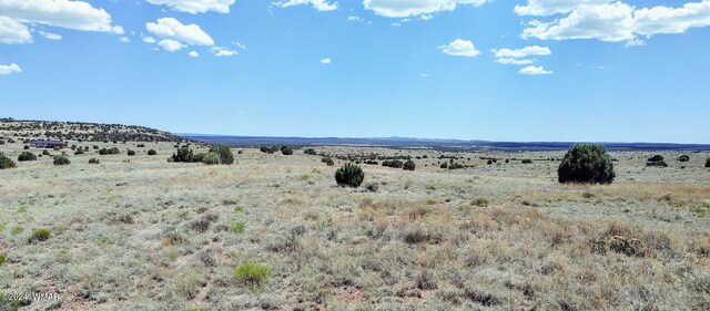 1900 Pinedale Rd, Taylor, AZ 85939 - photo 11