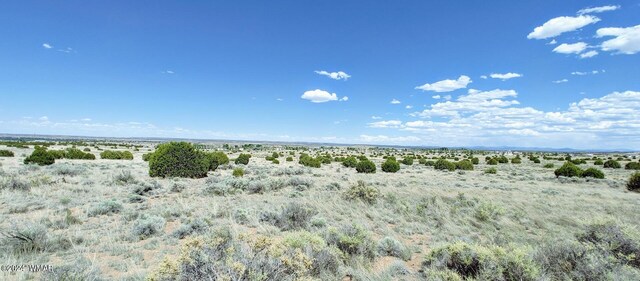 1900 Pinedale Rd, Taylor, AZ 85939 - photo 4