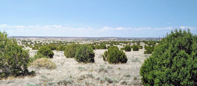 1900 Pinedale Rd, Taylor, AZ 85939 - photo 5
