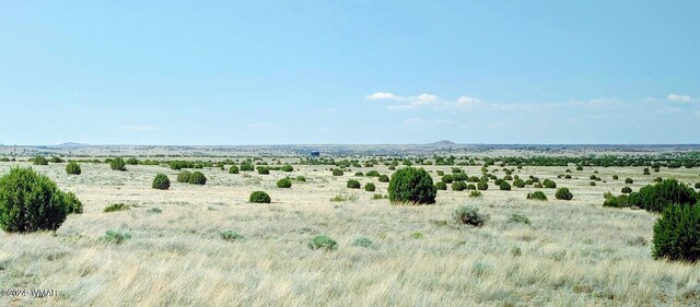 1900 Pinedale Rd, Taylor, AZ 85939 - photo 7