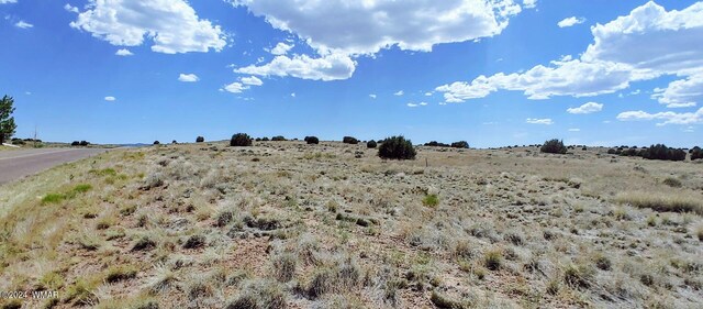 1900 Pinedale Rd, Taylor, AZ 85939 - photo 15