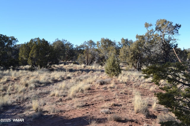 5450 County Line Rd, Snowflake, AZ 85937 - photo 9